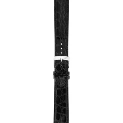 CINTURINO MORELLATO SCHUBERT - A01U3932052019CR20